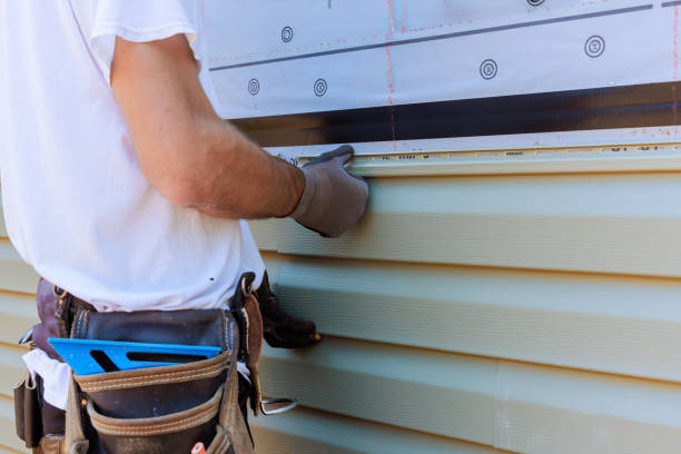 Best Insulated Siding Installation  in Dimondale, MI